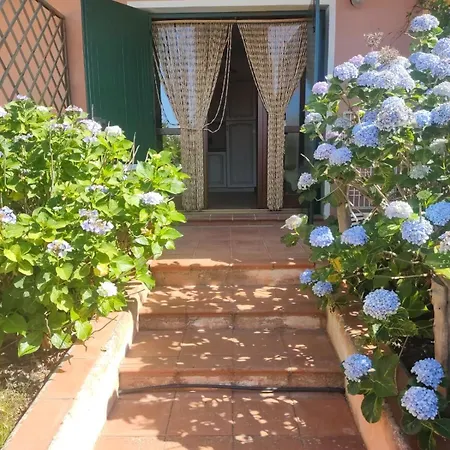 Giardino Viale Degli Ulivi, 7 Dom wakacyjny Palau